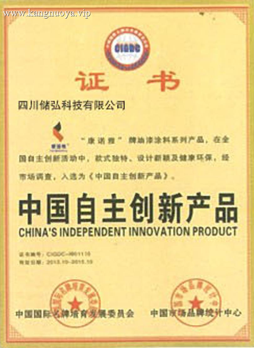 中国自主创新产品